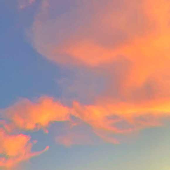 Meet your Posher, Ruby - Picture 1 of 1